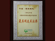 2007年度最具网友关注奖（华盛·格林雅地）