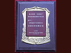 2010年度安徽百姓信任企业（安徽华盛房地产开发有限公司）