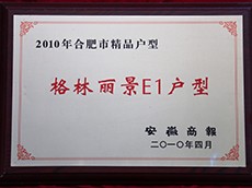 2010年度合肥精品户型（格林丽景E1户型）
